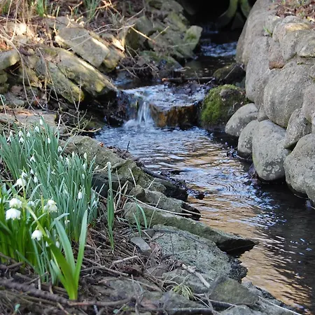 ضيافة كاونيس 3*